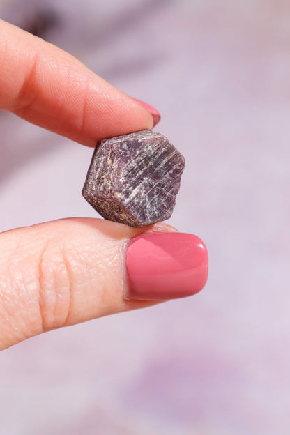 Rough Ruby 7.65gr Rough Crystals Tali & Loz Crystals