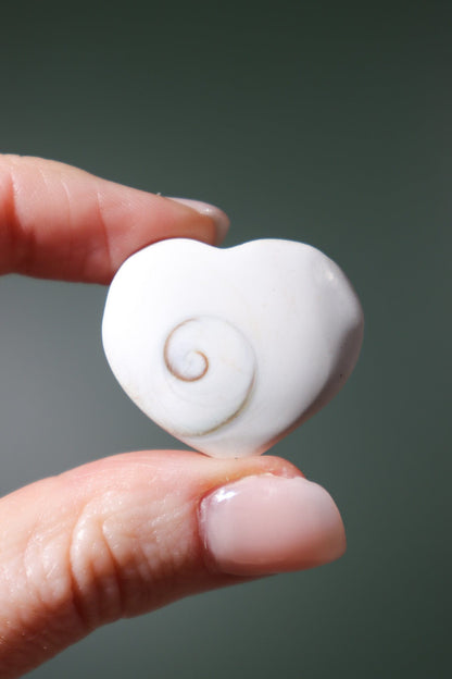 Shiva Shell Hearts - Higher Consciousness/Wisdom Hearts Tali & Loz