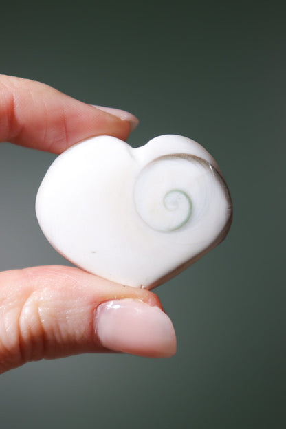 Shiva Shell Hearts - Higher Consciousness/Wisdom Hearts Tali & Loz