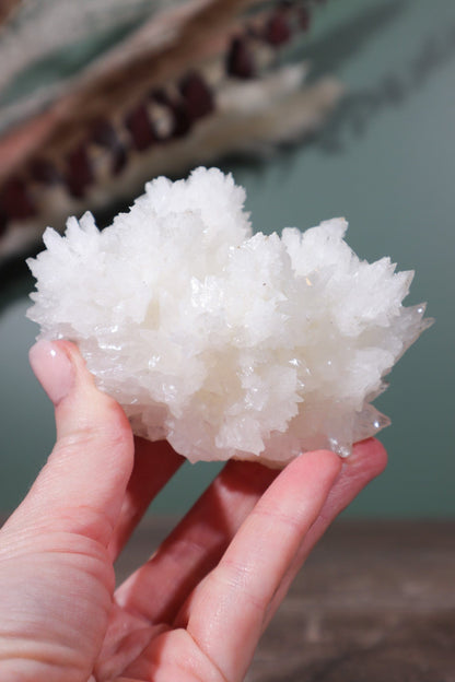 Snow White Aragonite Specimen 287gr Specimens Tali & Loz Crystals