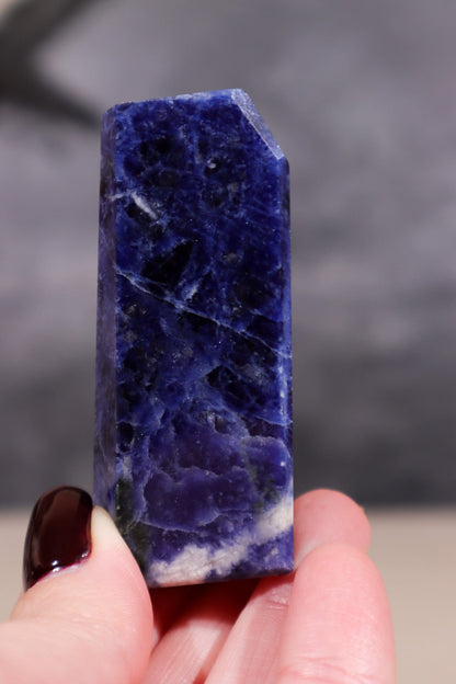 Sodalite Freeform 6.5cm Spheres Tali & Loz