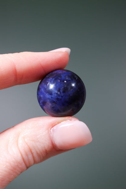 Sodalite Spheres Spheres Tali & Loz