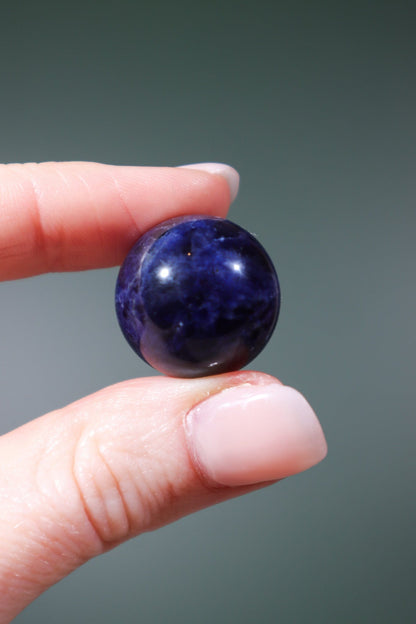 Sodalite Spheres Spheres Tali & Loz