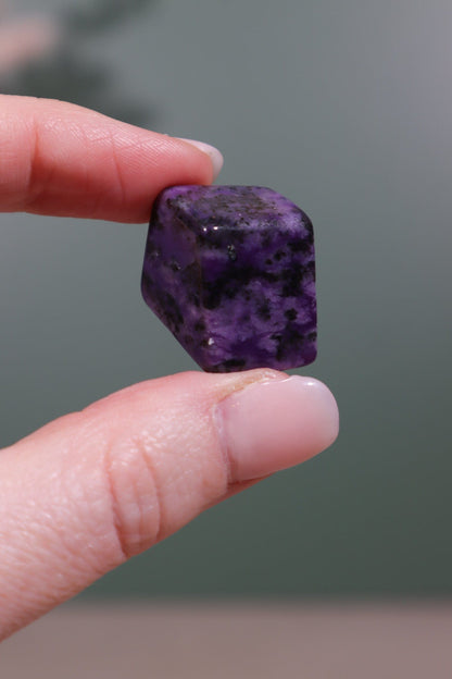 Sugilite Freeform 13.64g Rough Crystals Tali & Loz Crystals