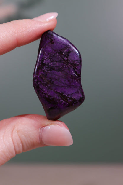 Sugilite Freeform 19.12gr Freeforms Tali & Loz Crystals