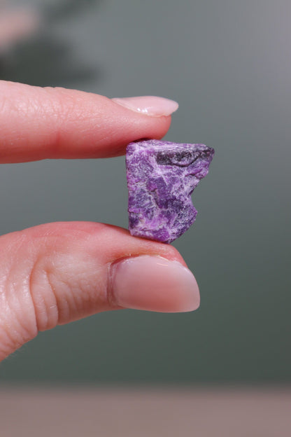 Sugilite Rough Crystal 2.66g Rough Crystals Tali & Loz Crystals