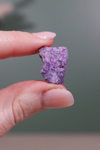 Sugilite Rough Crystal 2.66g Rough Crystals Tali & Loz Crystals