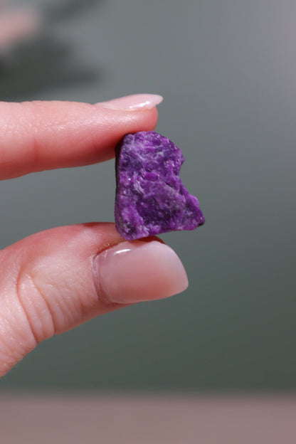 Sugilite Rough Crystal 2.66g Rough Crystals Tali & Loz Crystals