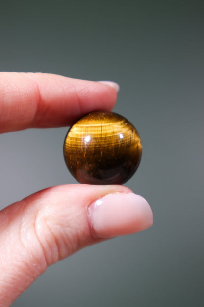 Tigers Eye Spheres Spheres Tali & Loz