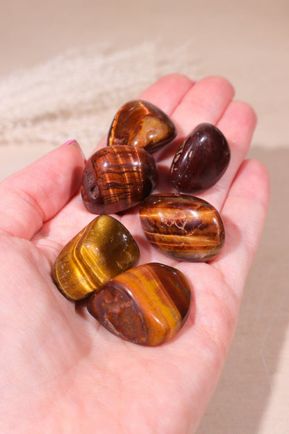 Tigers Eye Tumblestones 20-30mm Tumblestones Tali & Loz Crystals