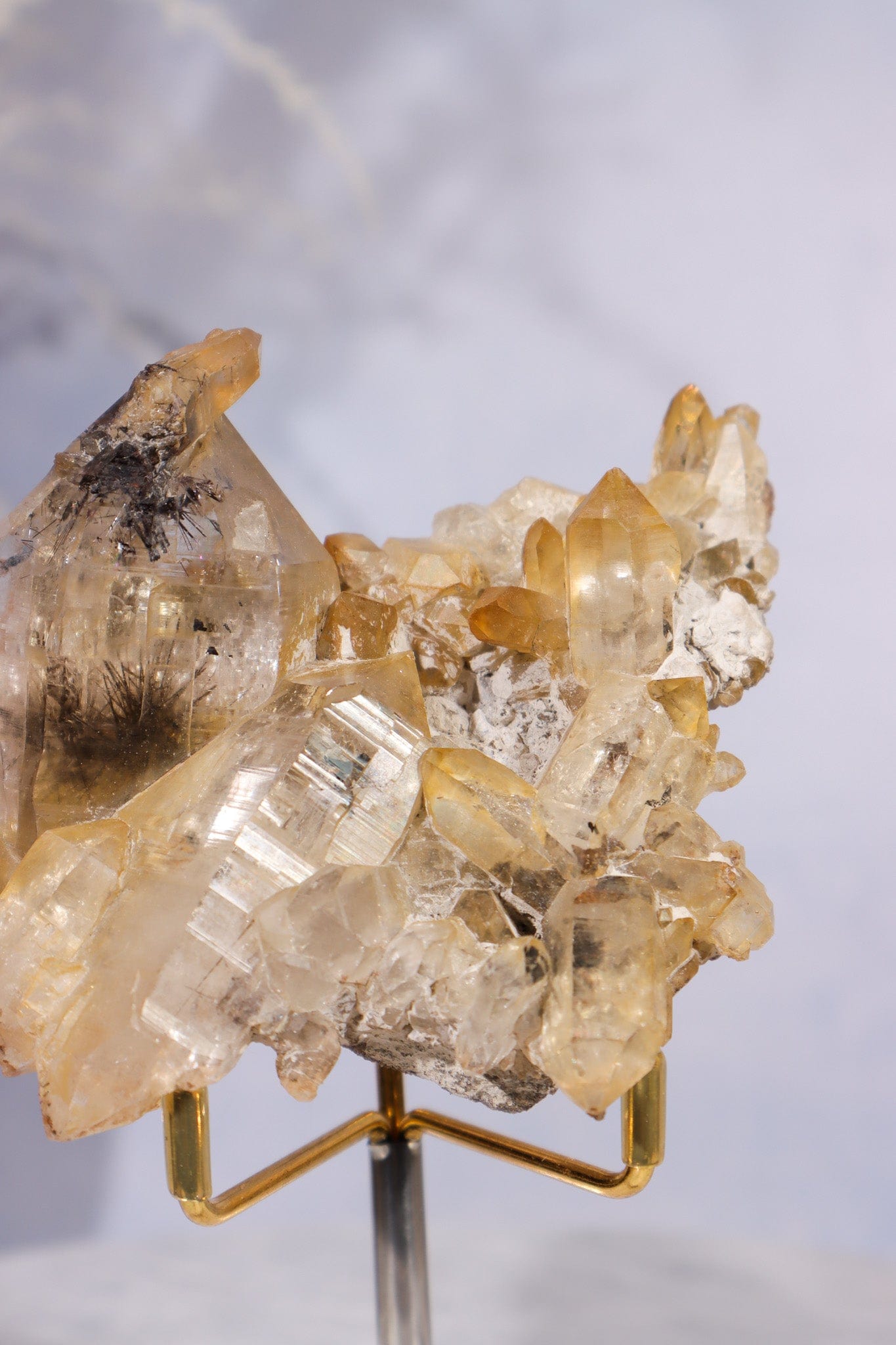 Tourmaline in Iron Stained Etched Quartz Cluster Specimen 211gr Clusters Tali & Loz Crystals