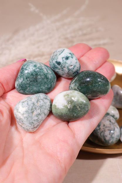 Tree Agate Tumblestones 20-30mm Tumblestones Tali & Loz Crystals