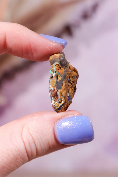 Yowah Boulder Opal Rough 3.83gr Rocks & Fossils Tali & Loz Crystals