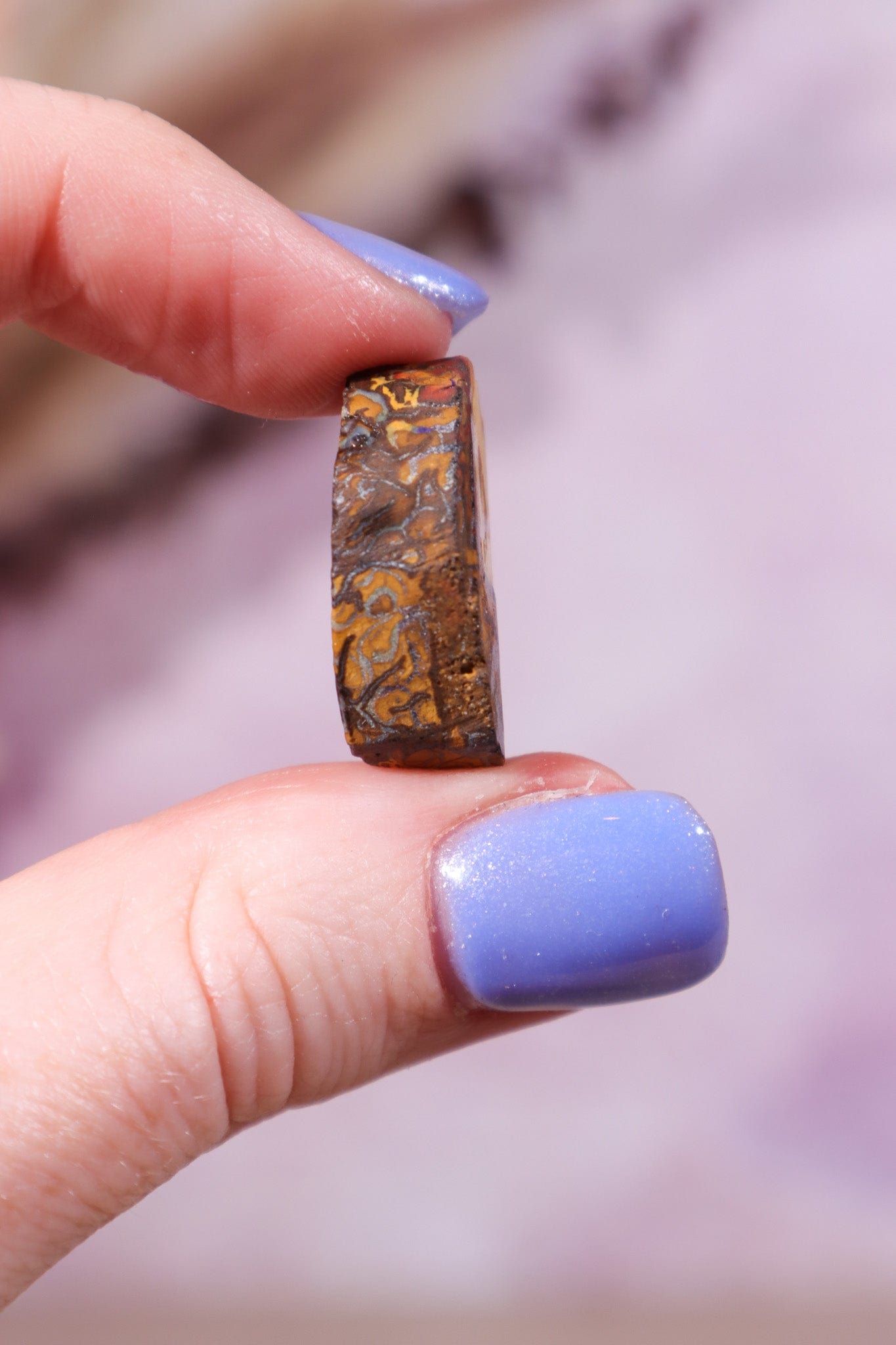 Yowah Boulder Opal Rough 5.06gr Rocks & Fossils Tali & Loz Crystals