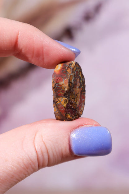 Yowah Boulder Opal Rough 5.06gr Rocks & Fossils Tali & Loz Crystals