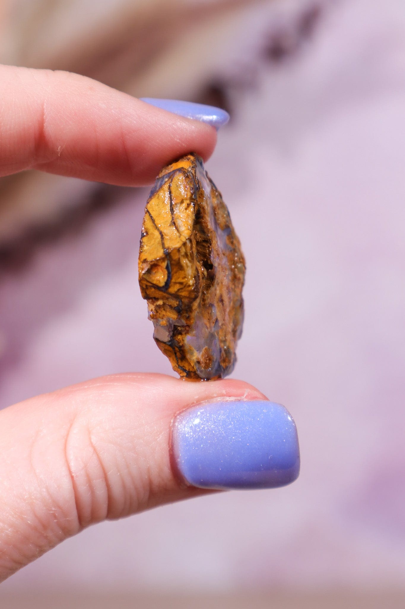 Yowah Boulder Opal Rough 5.84gr Rocks & Fossils Tali & Loz Crystals