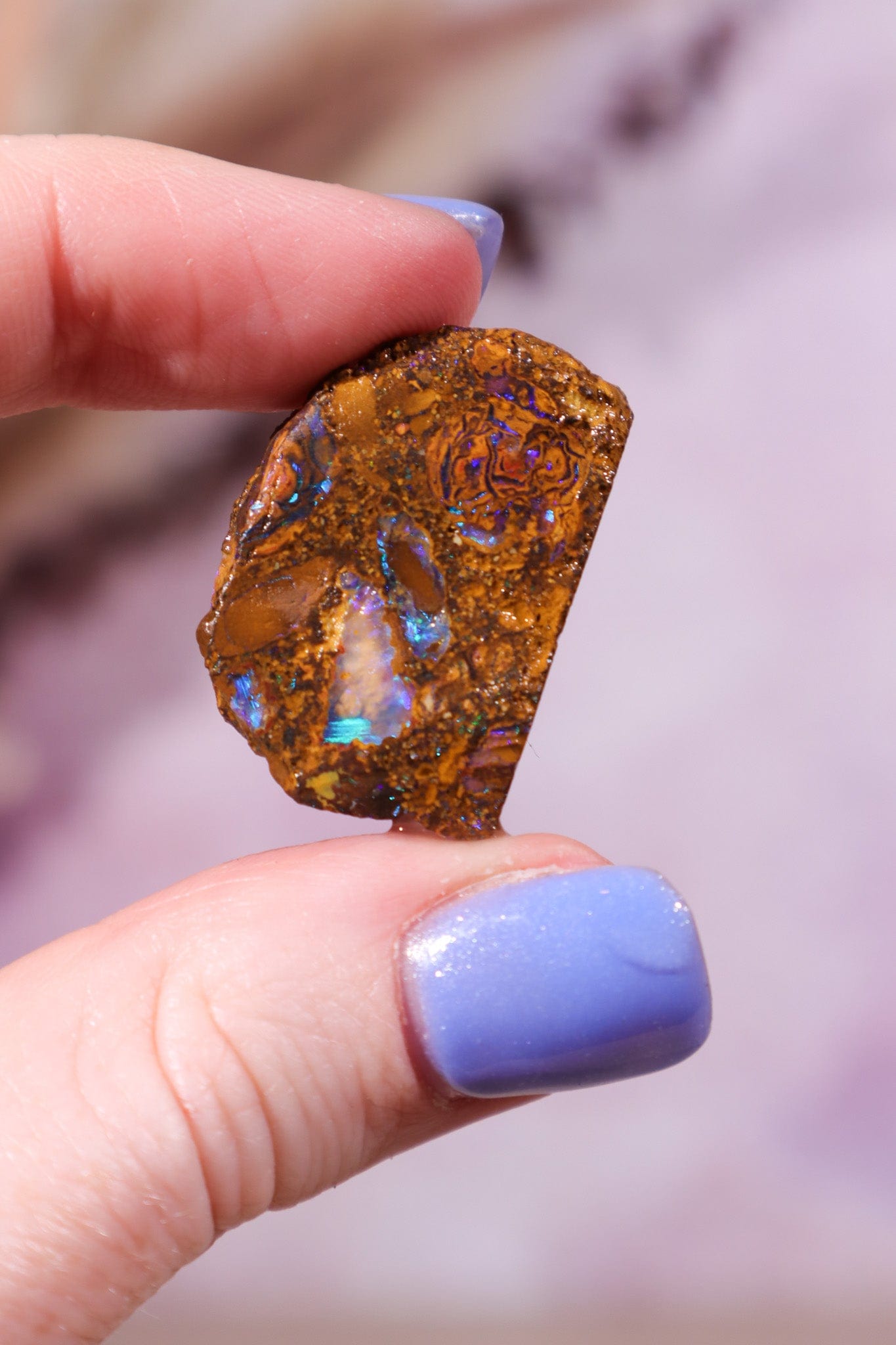 Yowah Boulder Opal Rough 6.41gr Rocks & Fossils Tali & Loz Crystals