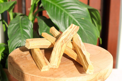 Palo Santo Sticks Sage Stick Tali & Loz